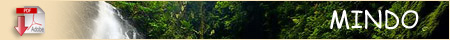 mindo